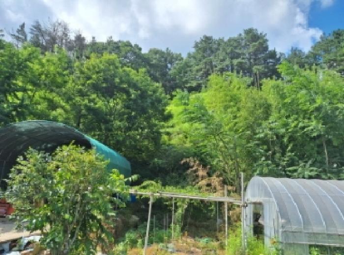 전라남도 광양시 옥룡면 추산리 산32-5 임야 경매 사진 10