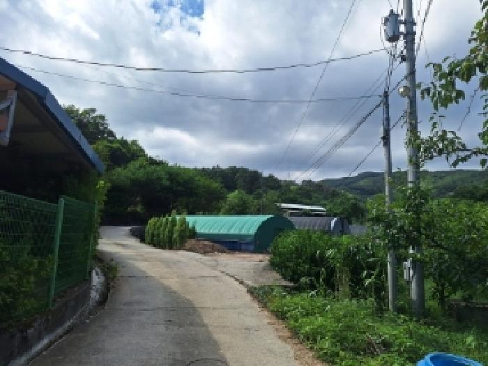 전라남도 광양시 옥룡면 추산리 산32-5 임야 경매 사진 12