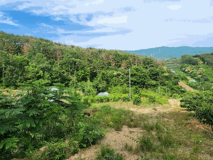 전라남도 광양시 옥룡면 추산리 산32-5 임야 경매 사진 3