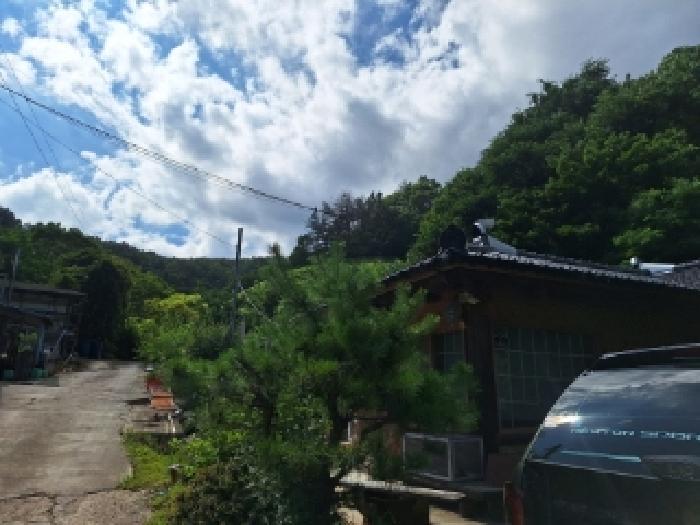 전라남도 광양시 옥룡면 추산리 산32-5 임야 경매 사진 6