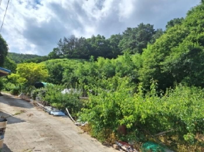 전라남도 광양시 옥룡면 추산리 산32-5 임야 경매 사진 7