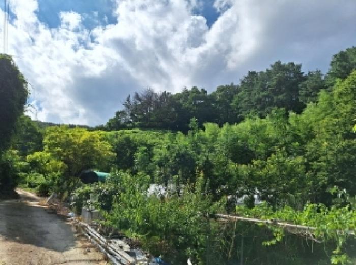 전라남도 광양시 옥룡면 추산리 산32-5 임야 경매 사진 9