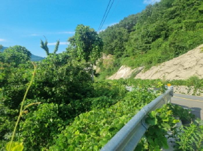 전라남도 광양시 다압면 하천리 59 대지 경매 사진 15