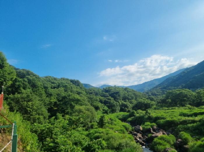 전라남도 광양시 다압면 하천리 59 대지 경매 사진 17
