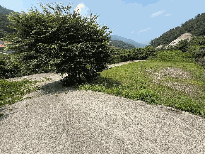 전라남도 광양시 다압면 하천리 59 대지 경매 사진 3