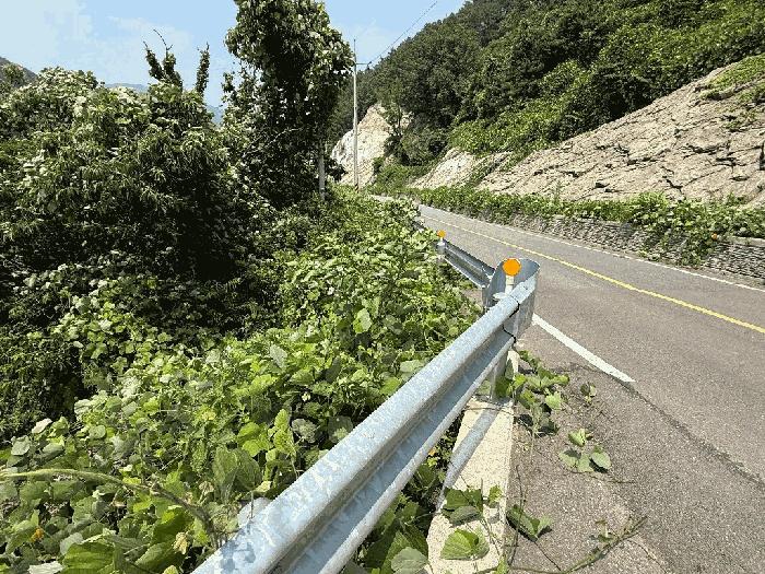 전라남도 광양시 다압면 하천리 59 대지 경매 사진 7