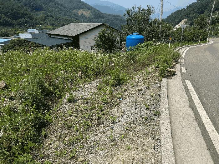 전라남도 광양시 다압면 하천리 산24-7 임야 경매 사진 2