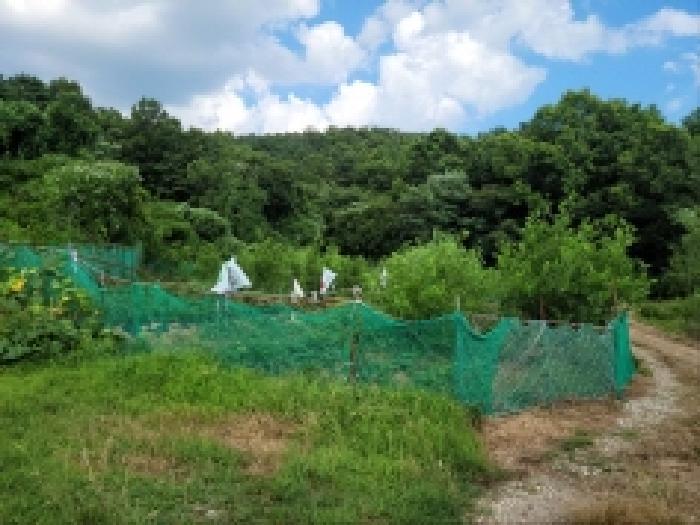전라남도 여수시 주삼동 648 전 경매 사진 10