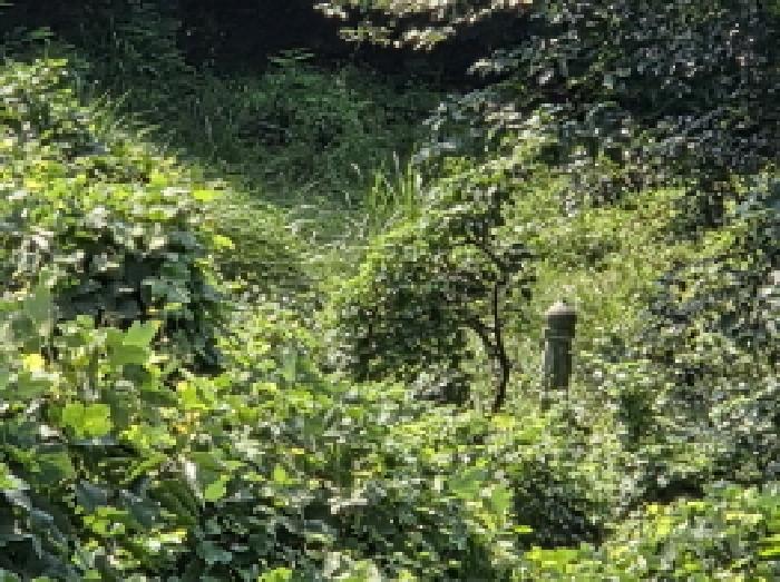 전라남도 여수시 주삼동 648 전 경매 사진 15