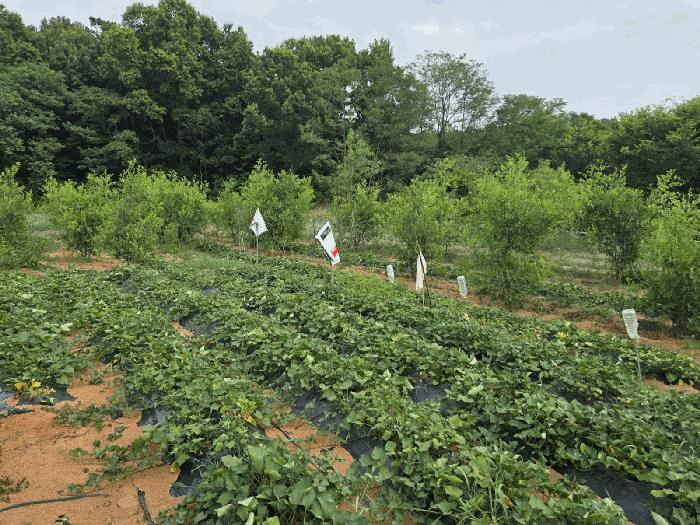 전라남도 여수시 주삼동 648 전 경매 사진 2