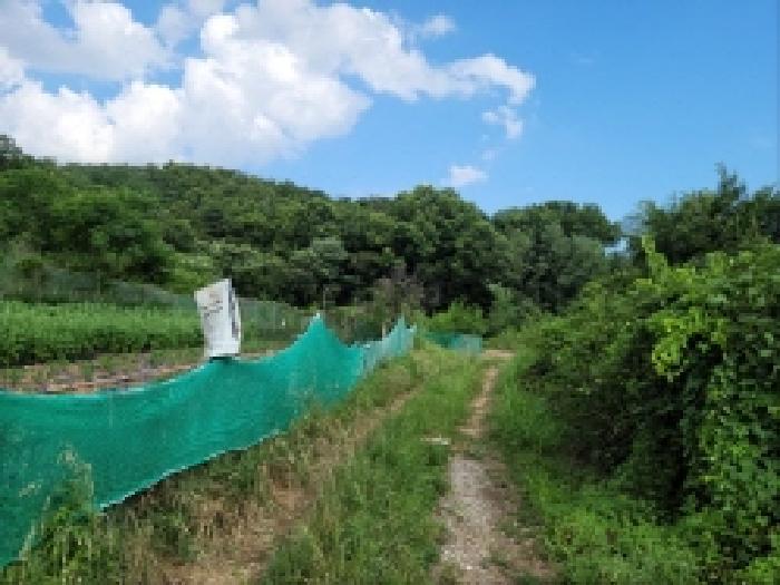 전라남도 여수시 주삼동 648 전 경매 사진 9
