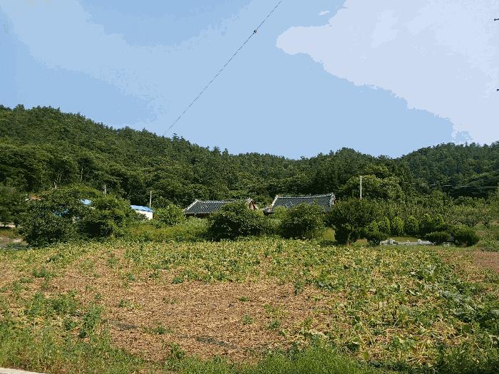 전라남도 보성군 복내면 유정리 49-2 주택 경매 사진 18