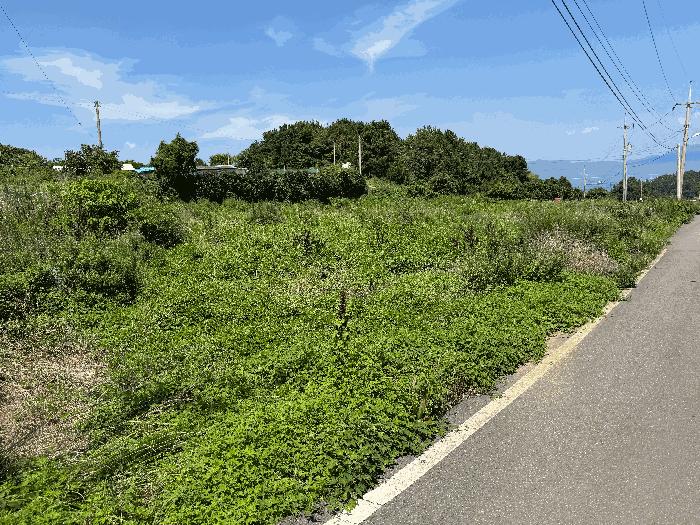 전라남도 여수시 돌산읍 우두리 405-7 전 경매 사진 13