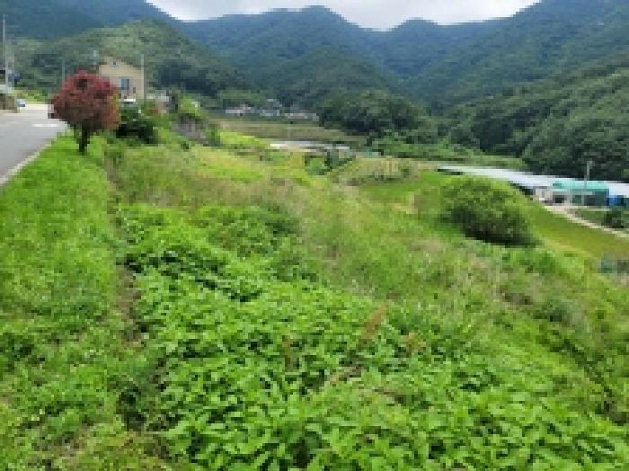 경상남도 거제시 둔덕면 상둔리 167-2 답 경매 사진 4