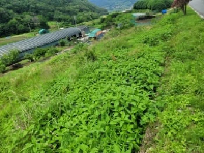 경상남도 거제시 둔덕면 상둔리 167-2 답 경매 사진 5