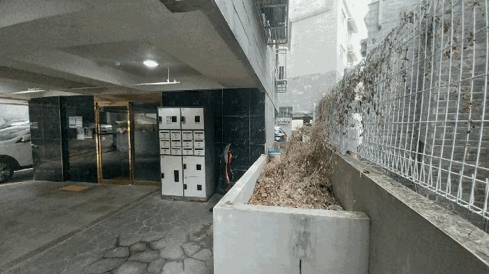 서울 은평구 다세대(빌라)