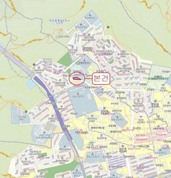 부산광역시 부산진구 당감동 786-61 묘지 경매 사진 12