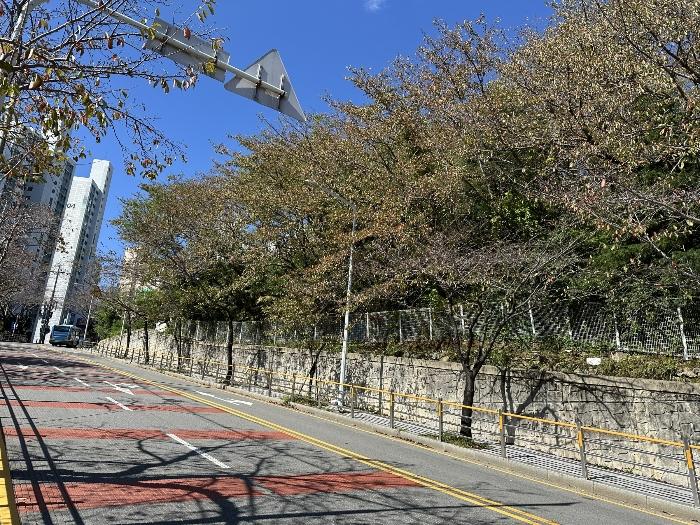 부산광역시 부산진구 당감동 786-61 묘지 경매 사진 5