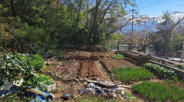 부산광역시 부산진구 당감동 786-61 묘지 경매 사진 7