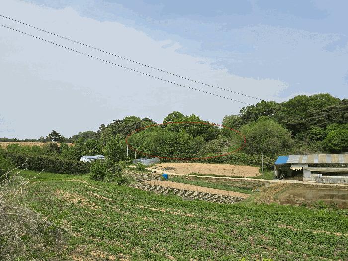 충청남도 당진시 순성면 옥호리 580-2 전 경매 사진 3