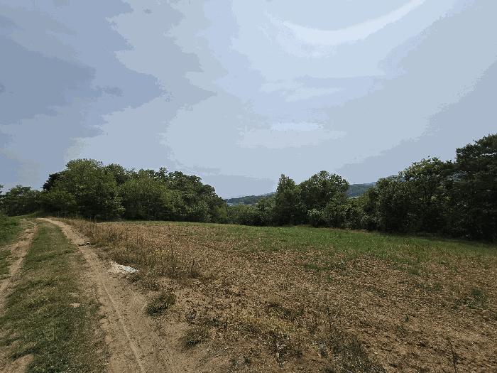 충청남도 당진시 순성면 옥호리 580-2 전 경매 사진 4