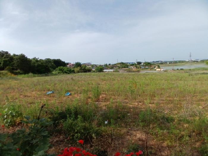 충청남도 당진시 석문면 삼봉리 249-15 전 경매 사진 6