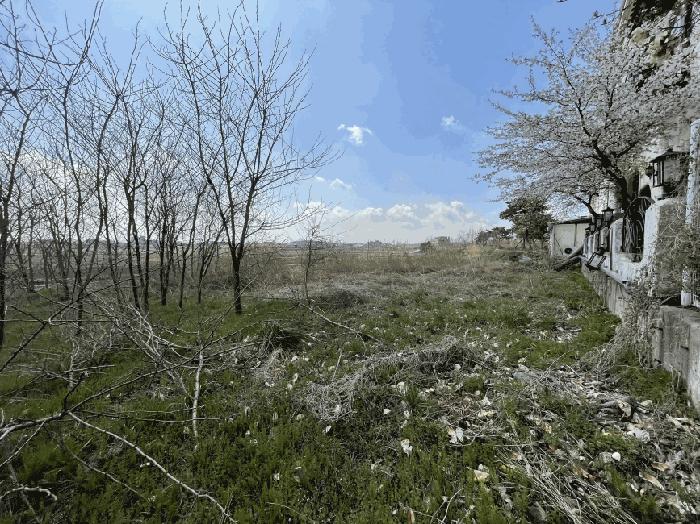 충청남도 당진시 신평면 매산리 95-137 잡종지 경매 사진 2