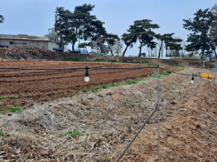 충청남도 당진시 신평면 매산리 95-137 잡종지 경매 사진 27