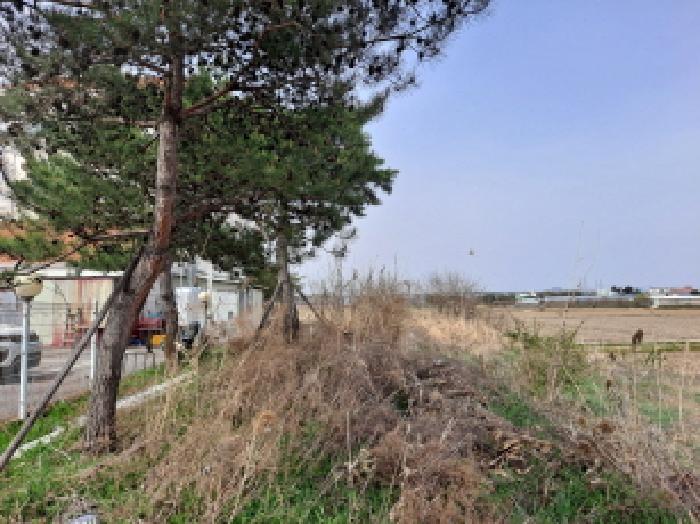 충청남도 당진시 신평면 매산리 95-137 잡종지 경매 사진 34