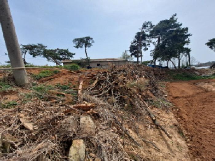 충청남도 당진시 신평면 매산리 95-137 잡종지 경매 사진 41