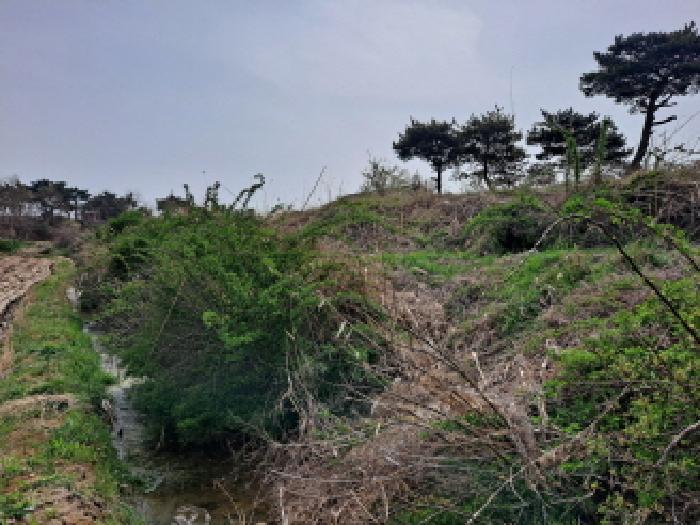 충청남도 당진시 신평면 매산리 95-137 잡종지 경매 사진 46