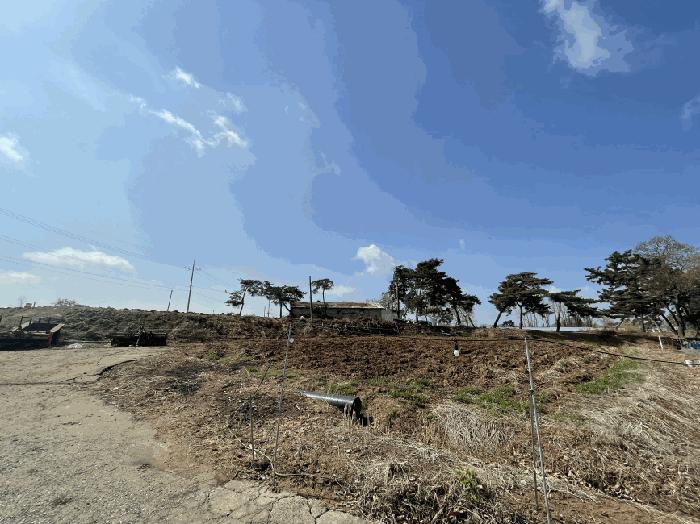 충청남도 당진시 신평면 매산리 95-137 잡종지 경매 사진 5