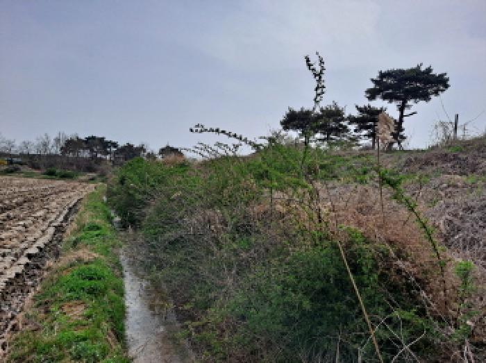 충청남도 당진시 신평면 매산리 95-137 잡종지 경매 사진 52