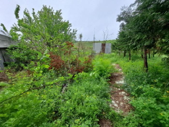 충청남도 당진시 송악읍 기지시리 3 공장 경매 사진 35