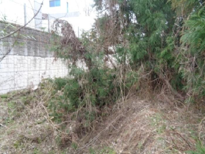 제주특별자치도 제주시 애월읍 광령리 2821-6 임야 경매 사진 11