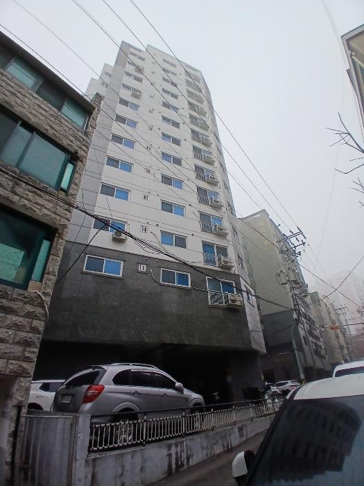 경기도 안양시 만안구 만안로141번길 9, 2층203호 (안양동,미목연)구) 경기도 안양시 만안구 안양동 392-5 다세대(빌라) 경매 사진 2