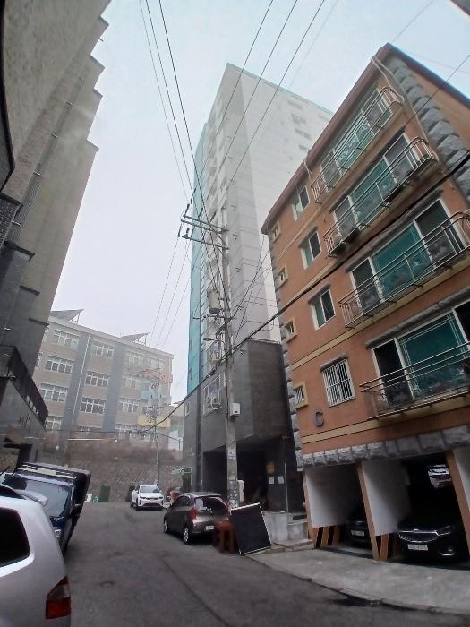 경기도 안양시 만안구 만안로141번길 9, 2층203호 (안양동,미목연)구) 경기도 안양시 만안구 안양동 392-5 다세대(빌라) 경매 사진 3