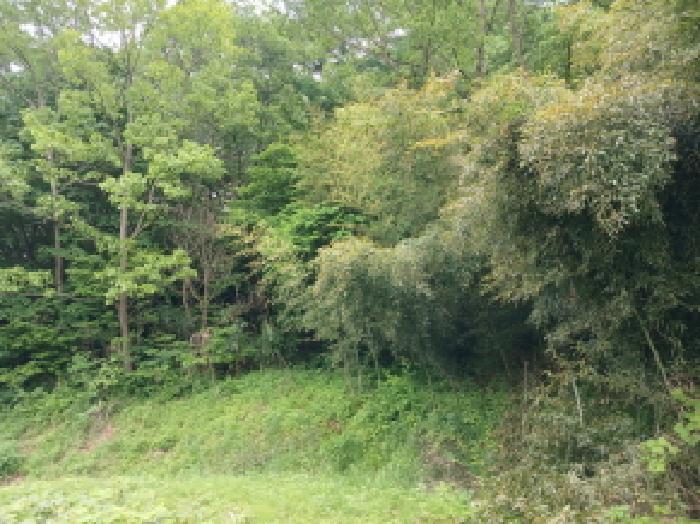 충청남도 서산시 성연면 왕정리 53 임야 경매 사진 17