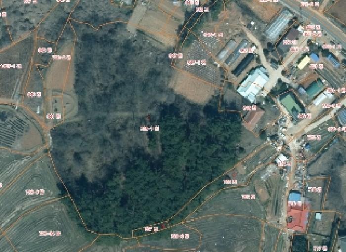 충청남도 태안군 고남면 고남리 645 임야 경매 사진 12