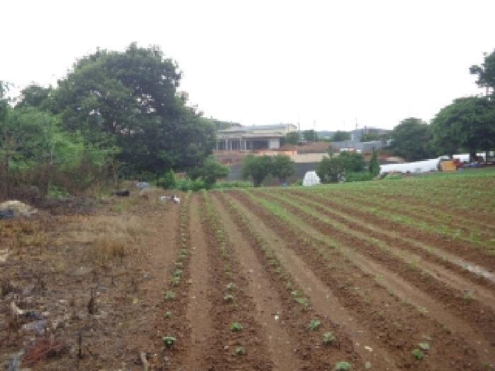 충청남도 태안군 고남면 고남리 645 임야 경매 사진 19