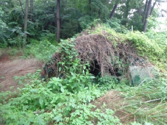 충청남도 태안군 고남면 고남리 645 임야 경매 사진 20