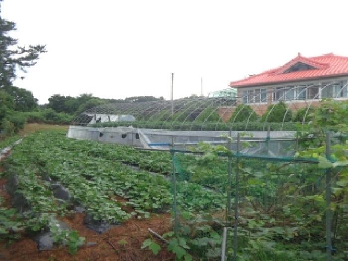 충청남도 태안군 고남면 고남리 645 임야 경매 사진 22