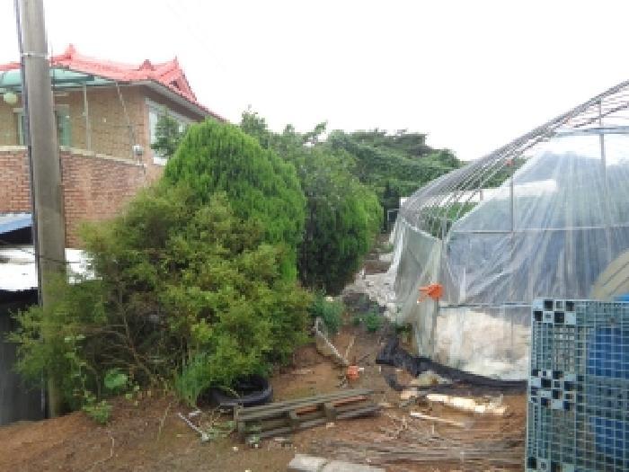 충청남도 태안군 고남면 고남리 645 임야 경매 사진 23