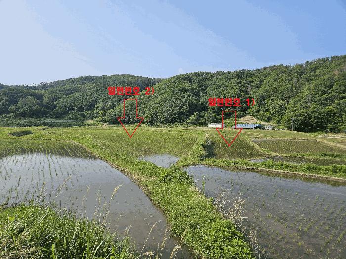 경상북도 경주시 양남면 석촌리 510 답 경매 사진 1