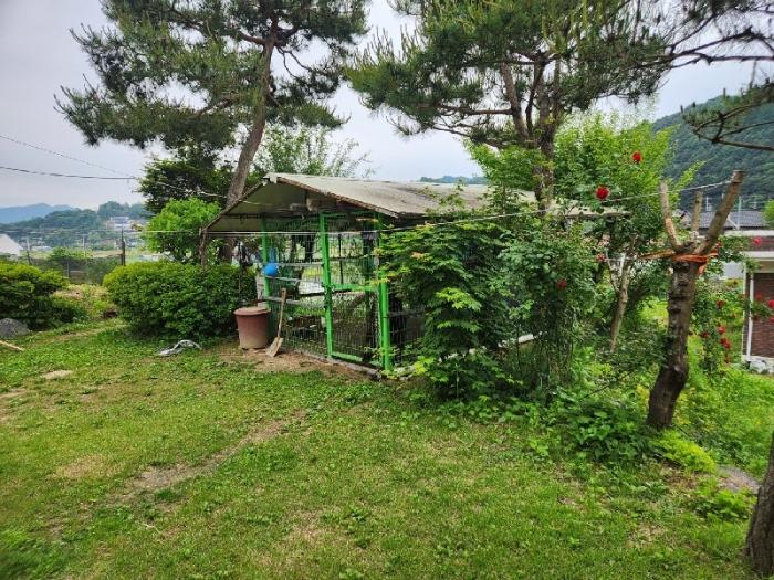 경기도 양평군 옥천면 신복리 463-2 주택 경매 사진 5