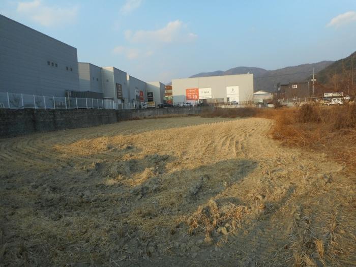 경상북도 칠곡군 동명면 금암리 201 답 경매 사진 2