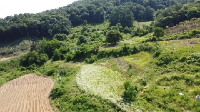 충청북도 괴산군 사리면 화산리 725 전 경매 사진 1