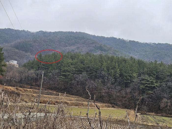 울산광역시 울주군 온양읍 고산리 63-2 전 경매 사진 4