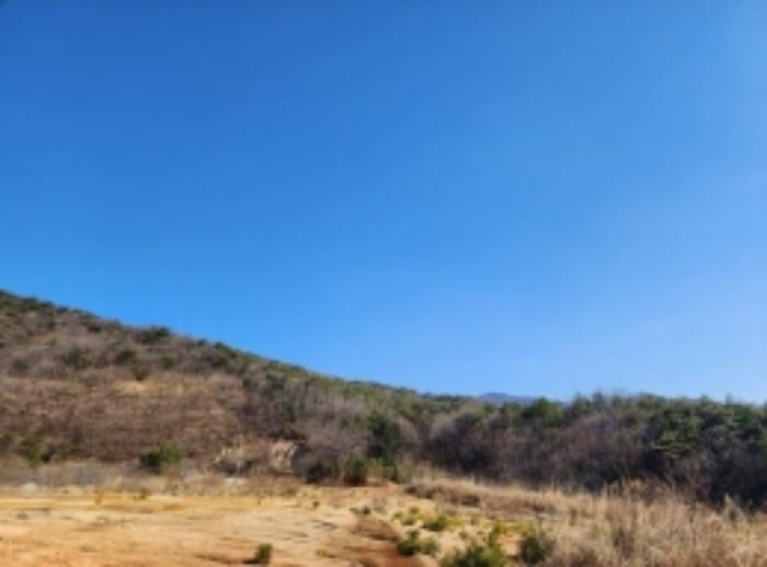 울산광역시 울주군 온양읍 고산리 63-2 전 경매 사진 6