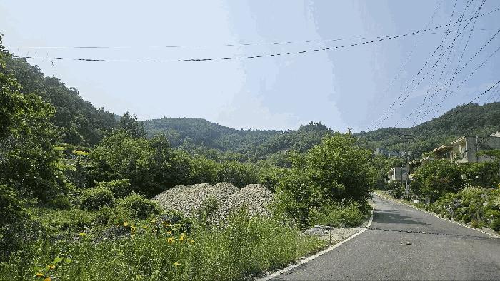 충청남도 금산군 제원면 천내리 196-7 임야 경매 사진 2